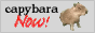 Capybara now